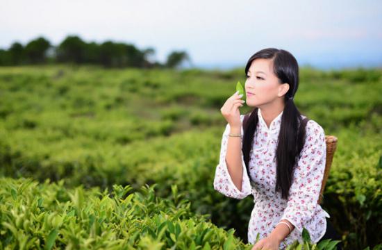 悦呼吸 悦身心 西安荣宝自驾采茶活动即将启程